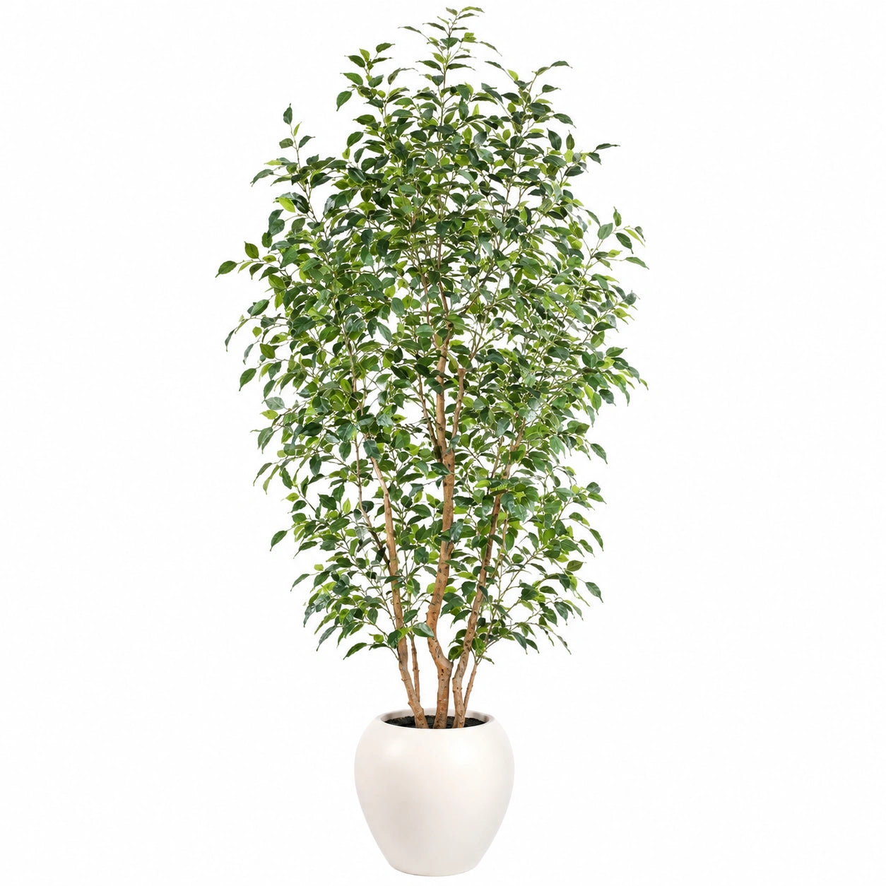 Planta Artificial de Ficus con Maceta, 180cm, Verde
