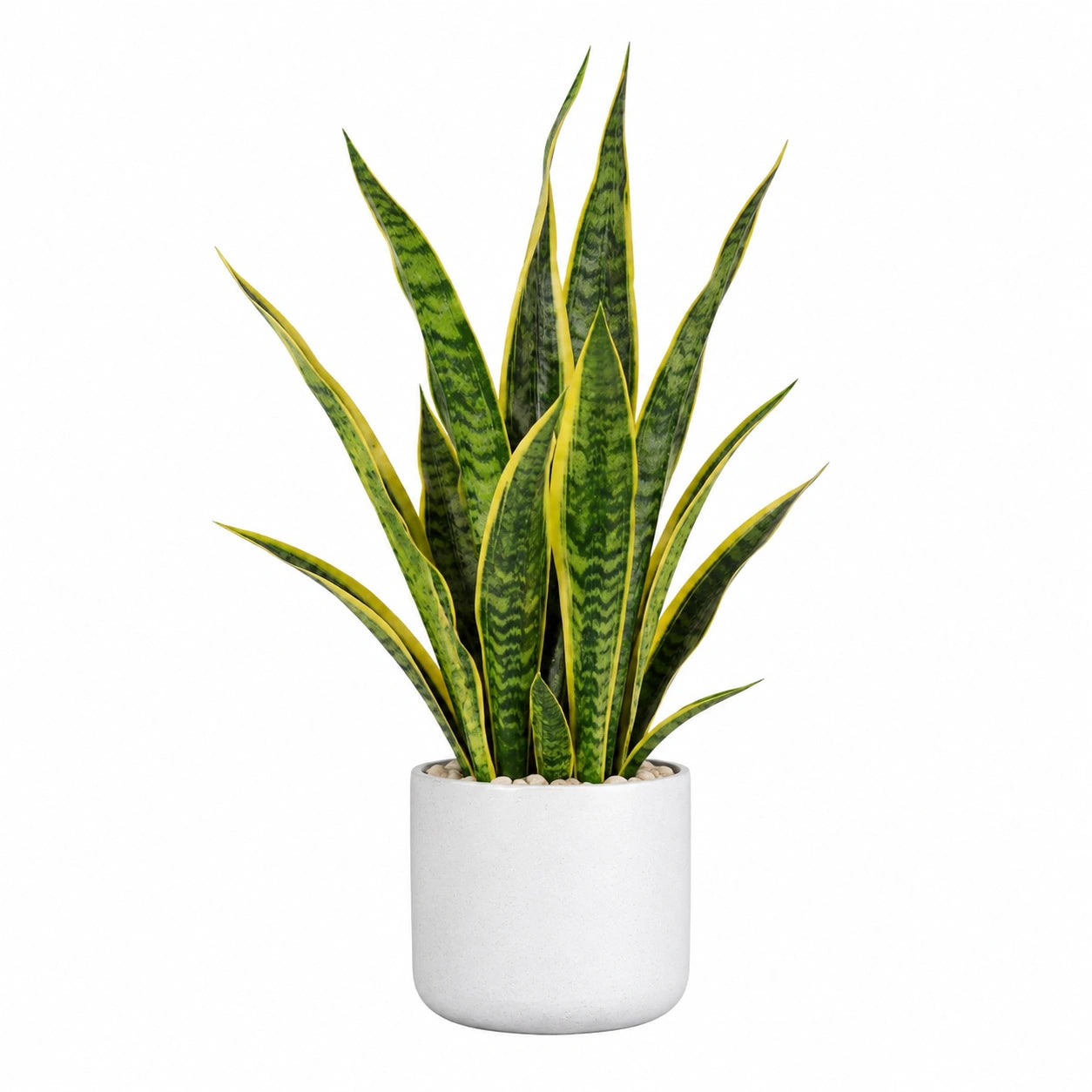Planta Artificial de Sansevieria con Maceta Blanca, 60cm