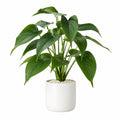 Planta artificial 60 cm con maceta blanca de interior