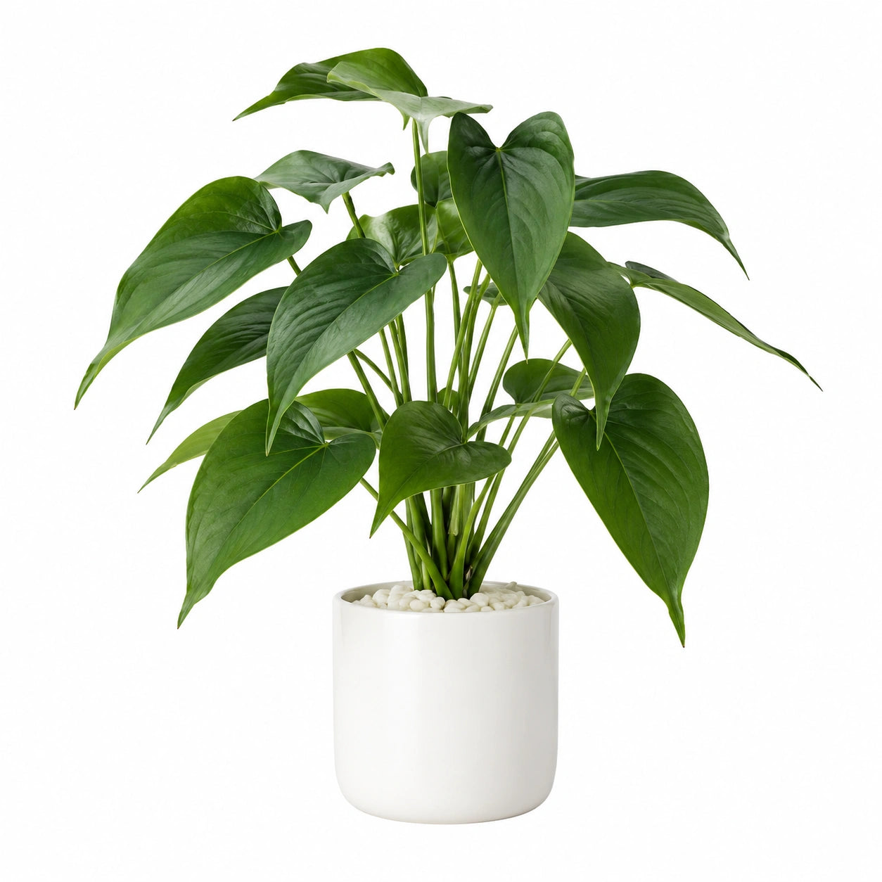 Planta artificial 60 cm con maceta blanca de interior