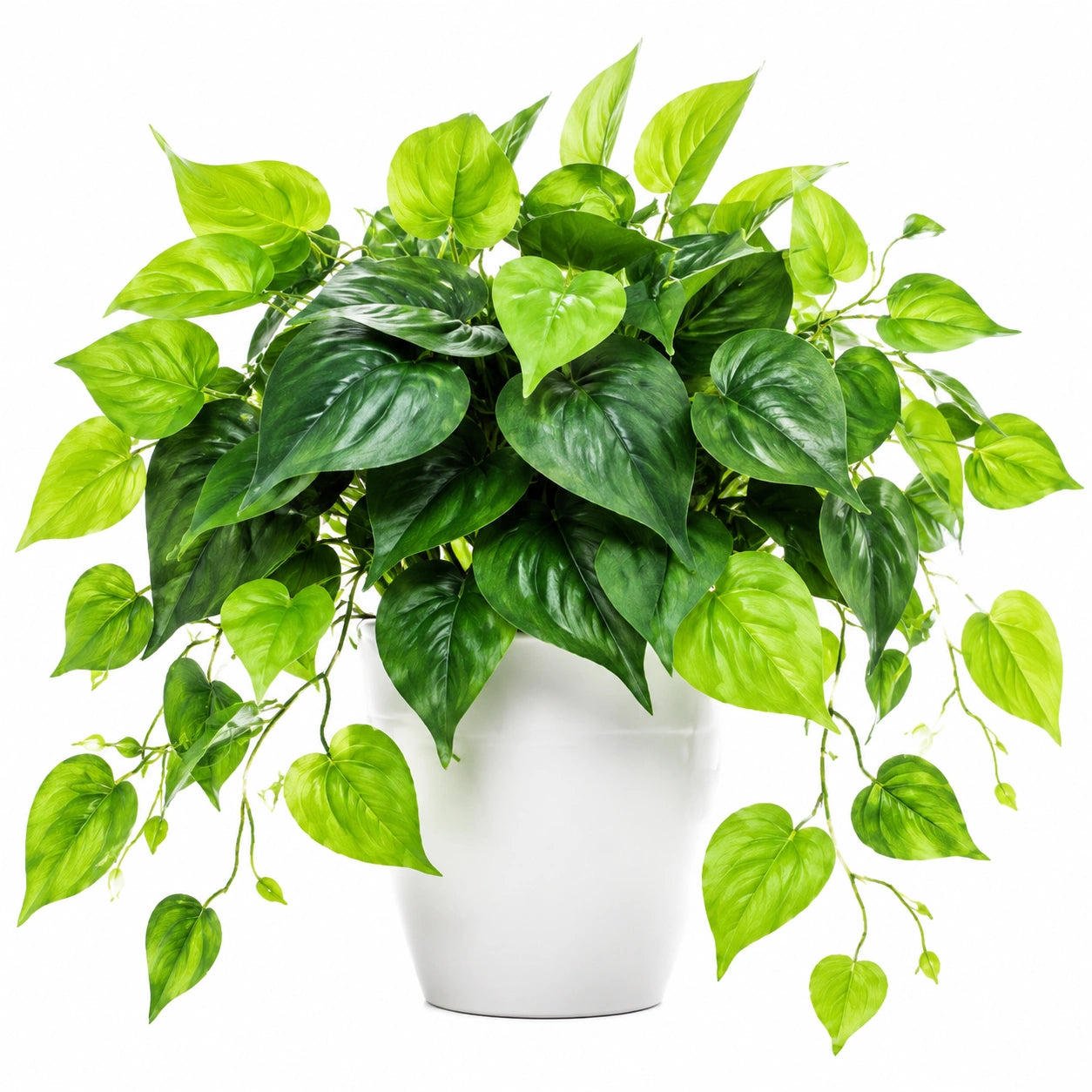 Planta de Interior Artificial en Maceta Blanca 30cm